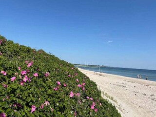 Casa per le vacanze Sydals  18