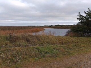 Holiday house Thorup Strand  11