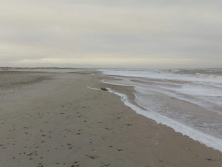 Maison de vacances Thorup Strand  20