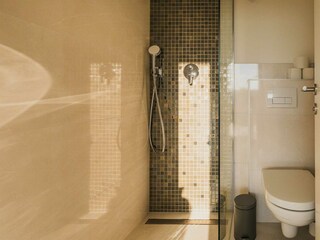 Villa Kastelir Caratteristiche 42