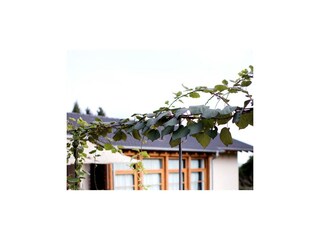 Holiday house Vignone  38