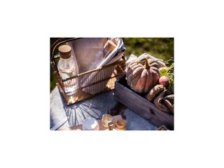 Insgesamt ca. 500 m² großes, abgeschlossenes Privatgrundstück (Corte Villa Donati)