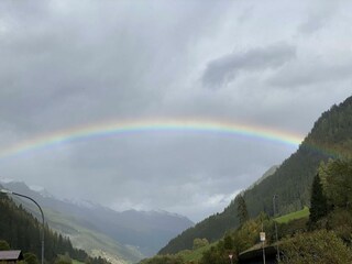 Regenbogen