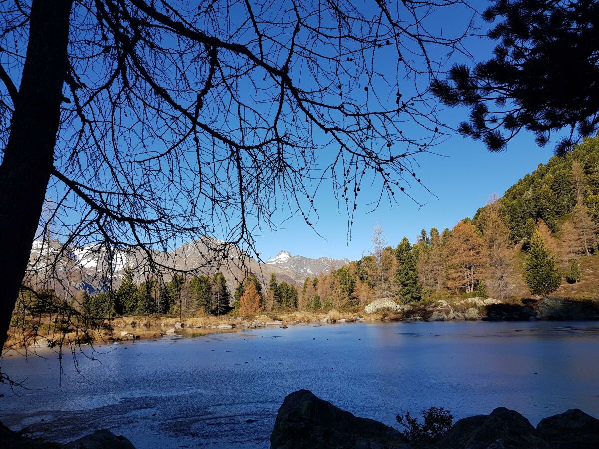 Berglisee