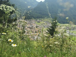 IMG_20200731_133116
