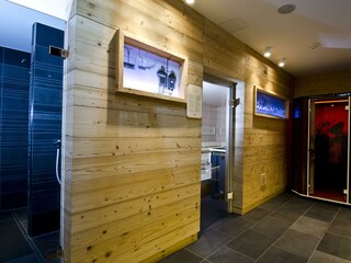 wellness (2)