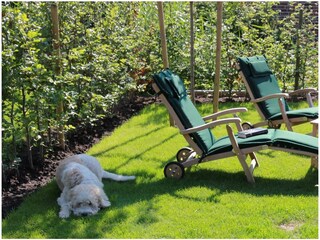 Appartamento per vacanze Greetsiel Registrazione all'aperto 11