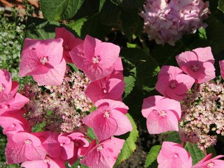 Appartamento per vacanze Greetsiel Registrazione all'aperto 13