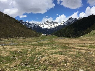 IMG_1351
