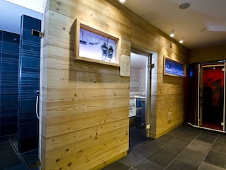 wellness (2)