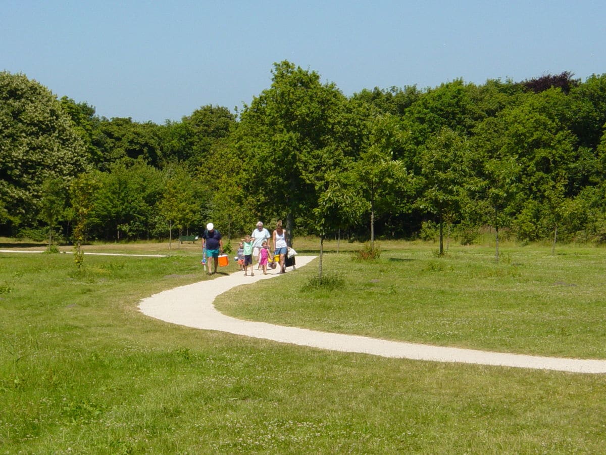 Wald Oostkapelle