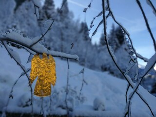 weihnachten in weiss