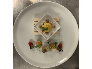 Gourmet Cuisine Vista - Allegra
