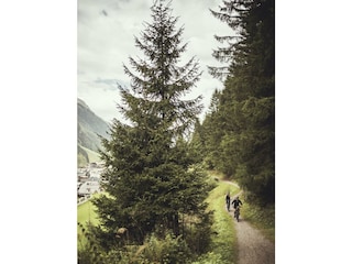 Alpine Biken