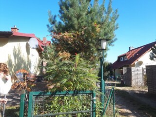 Casa de vacaciones Großzerlang Grabación al aire libre 6