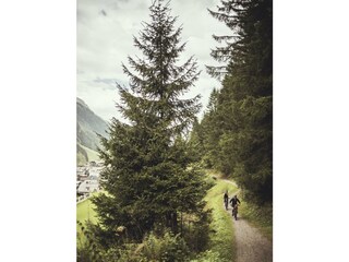 Alpine Biken