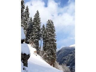 IMG-20211207-WA0010
