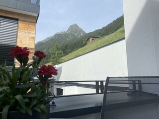 IMG_6039
