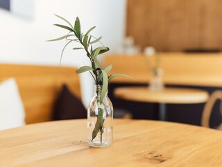 mattle_sommer_24_danielzangerl _076