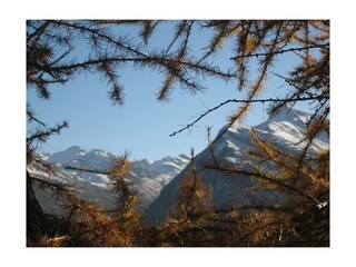 Herbst im Durri_003