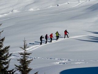 Schneeschuhwanderung in Kappl