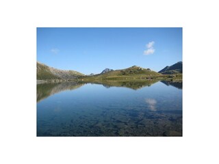 Bergquell