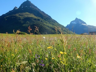 Gorfen und Ballunspitze