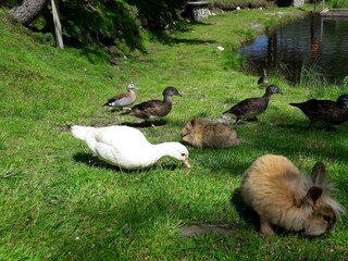 Holiday room Galtür Outdoor Recording 35