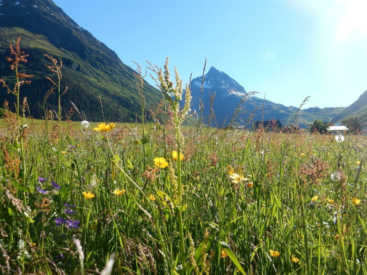 Ballunspitze