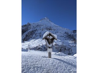 PXL_20210116_115354280(1)