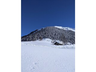 PXL_20210116_114859850