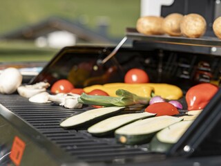 Apart-Mattle_Apart_Zimalis_Grillen_001