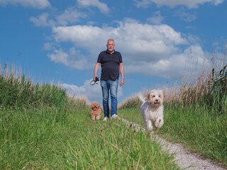 Auch euer Hund wird richtig Friesland geniessen