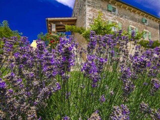 Casa de vacaciones Groznjan Grabación al aire libre 19