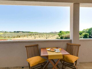 Villa Novigrad (Istrien) Registrazione all'aperto 7