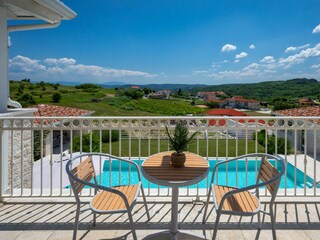 Villa Vižinada Caratteristiche 26