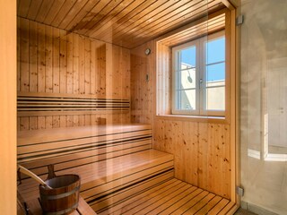 Villa Višnjan Características 31