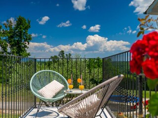 Villa Tinjan Registrazione all'aperto 5