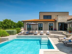 Moderne Villa Lukas met zwembad in Vižinada