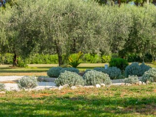 Villa Tar Registrazione all'aperto 6