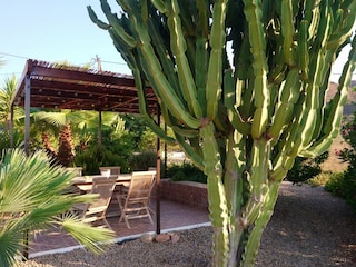 Finca Cartagena Outdoor Recording 13