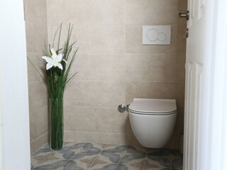 Villa Buje Caratteristiche 20