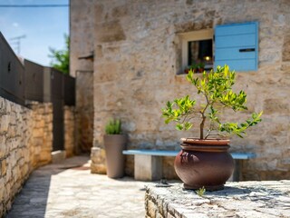 Villa Tar Grabación al aire libre 13