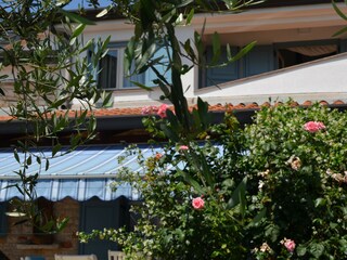 Villa Novigrad (Istrien) Registrazione all'aperto 3