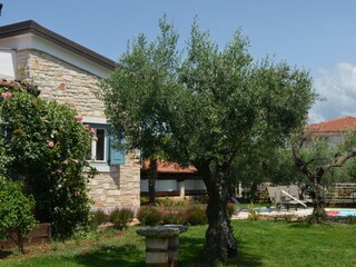 Villa Novigrad (Istrien) Registrazione all'aperto 8