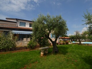 Villa Novigrad (Istrien) Registrazione all'aperto 12