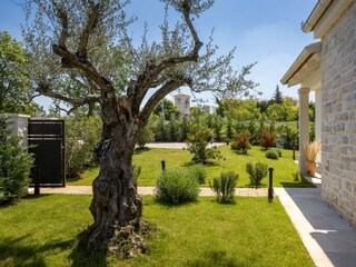 Villa Barići Registrazione all'aperto 11