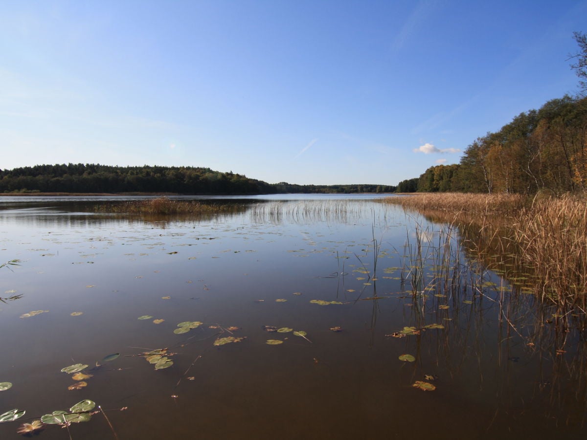 Angeln am Settiner See, kostenfreie Boote