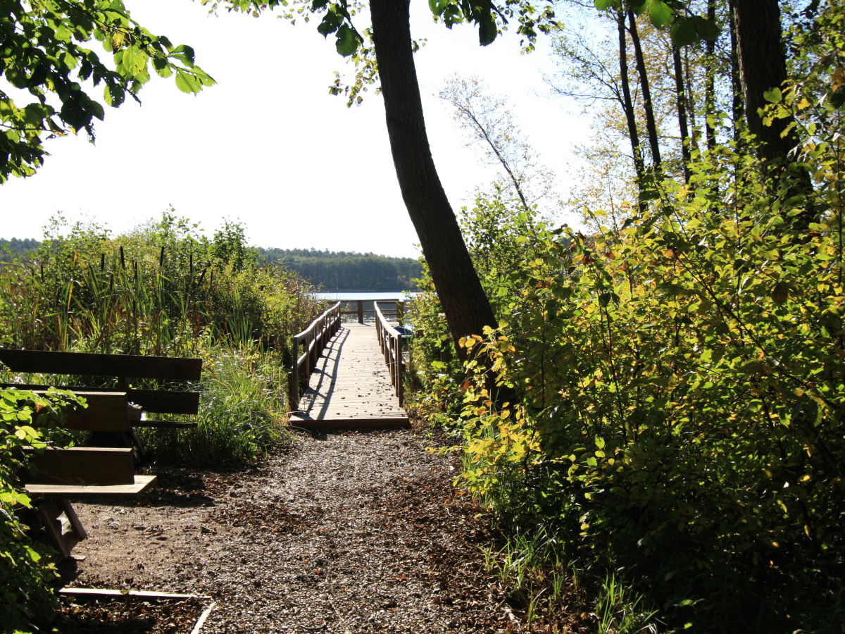 Weg zum Steg am Gutshaus