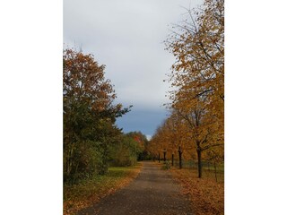 Casa per le vacanze Röbel Müritz Ambiente 38
